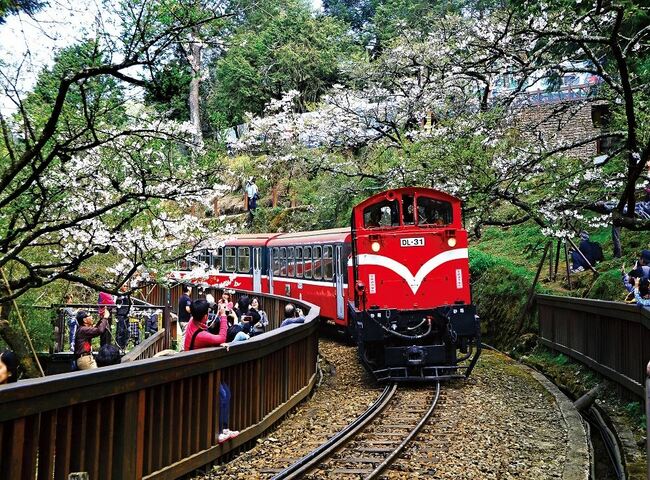 特富野古道二日部落巡禮 得恩雅納森林小火車體驗 超悠旅行社 頂尖旅遊